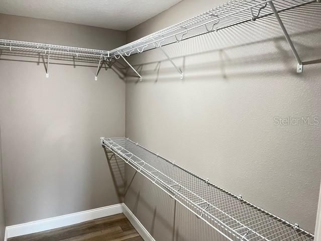 2300 Lime Tree Drive, Edgewater, FL 32141 Photo