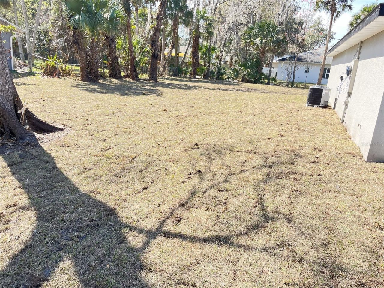 2300 Lime Tree Drive, Edgewater, FL 32141 Photo