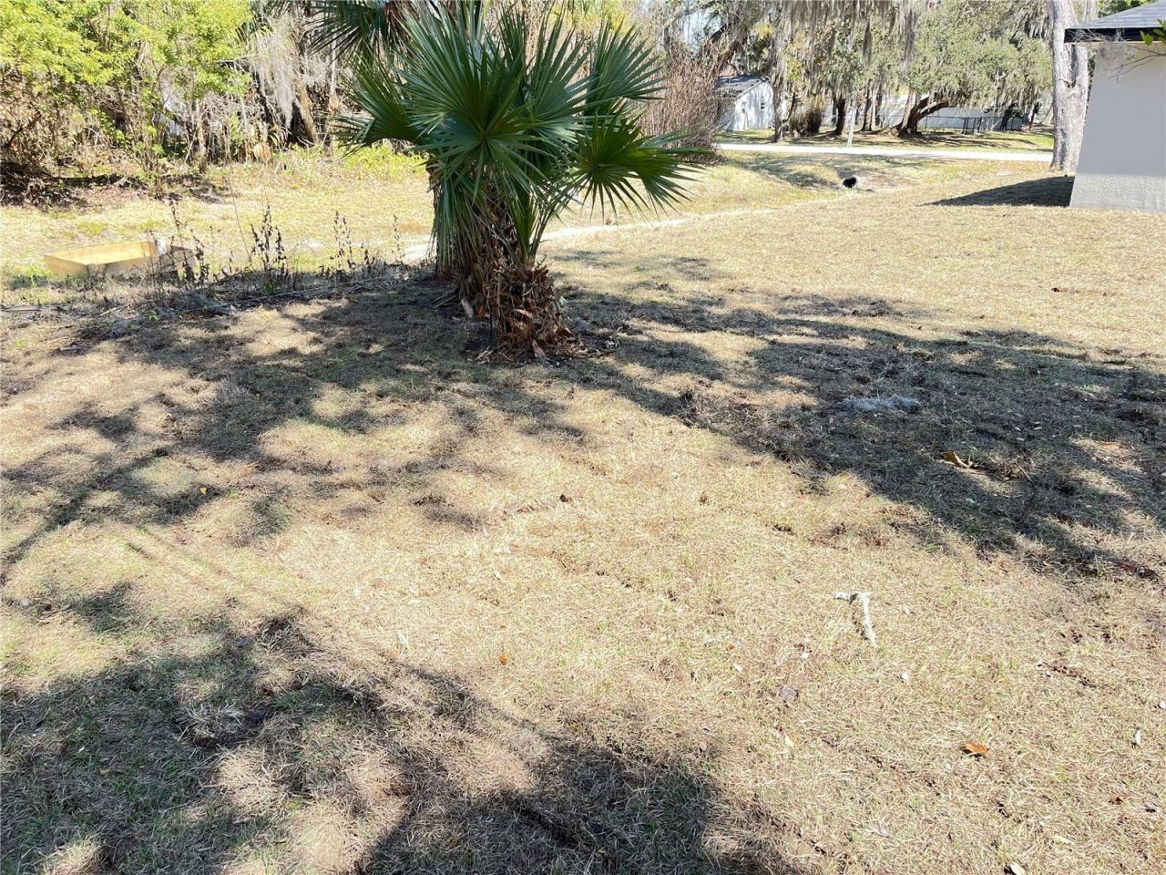 2300 Lime Tree Drive, Edgewater, FL 32141 Photo