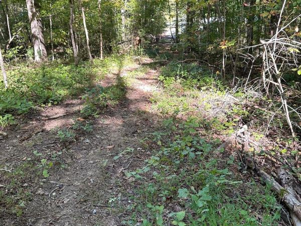 Lot 351 Diana Drive, Spring City, TN 37381