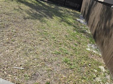 212 E 19TH Street, Jacksonville, FL 32206