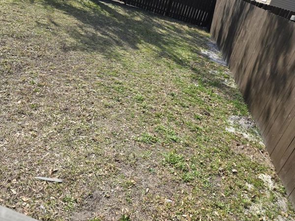 212 E 19TH Street, Jacksonville, FL 32206