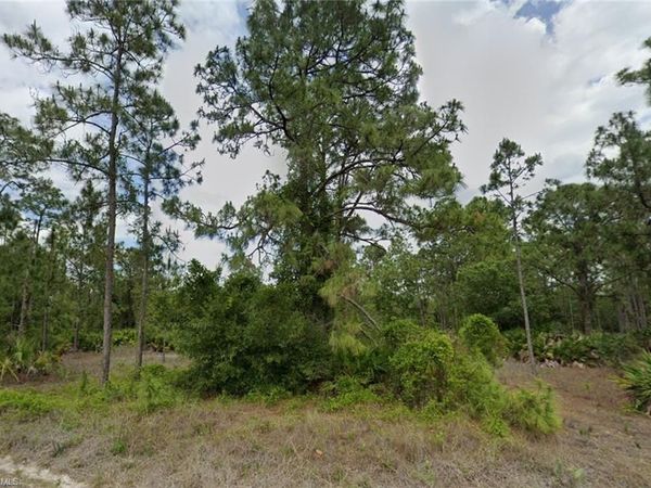 806 Canton AVE, LEHIGH ACRES, FL 33972