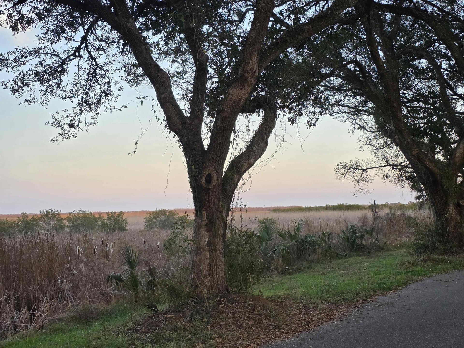 616 Marshview Ln. Photo 41