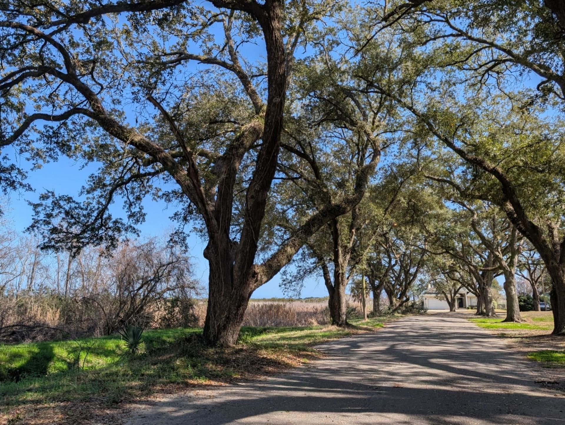 616 Marshview Ln. Photo 43