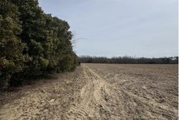 Tbd Firetower Road  photo 4