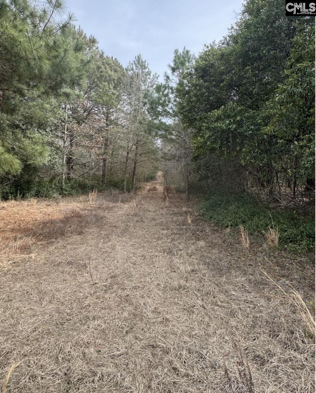 Tbd Firetower Road  Photo 8