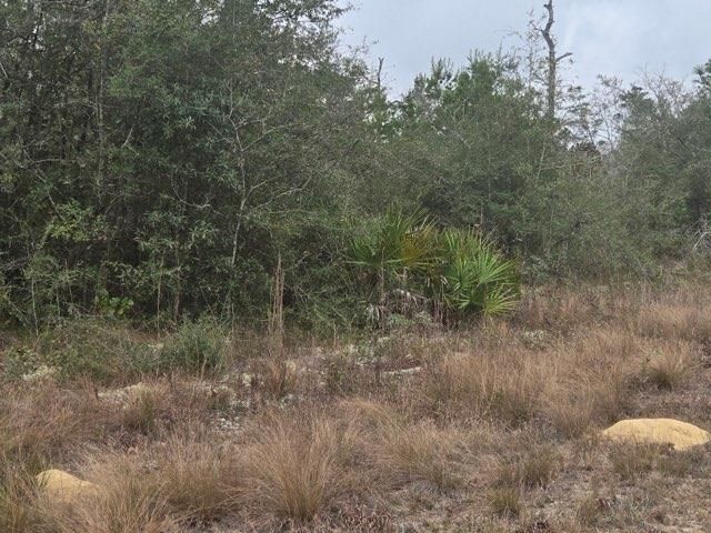 0000 NW Cr 274 Road, Altha, FL 32421 Photo