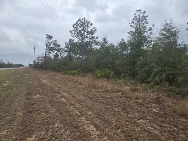 0000 NW Cr 274 Road, Altha, FL 32421 Photo