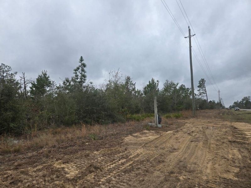 0000 NW Cr 274 Road, Altha, FL 32421 Photo