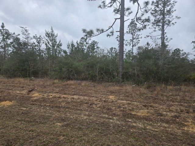 0000 NW Cr 274 Road, Altha, FL 32421 Photo