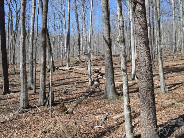 00 Shadow Creek Lane , Columbus, NC 28722