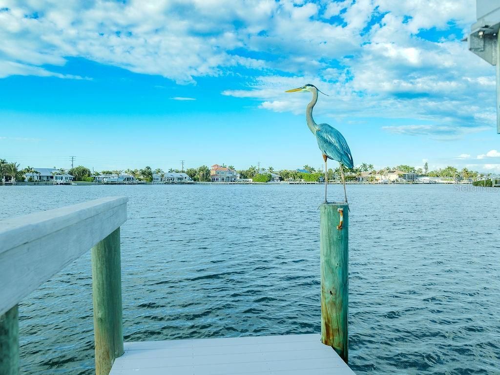 454 63rd Street, Holmes Beach, FL 34217 Photo