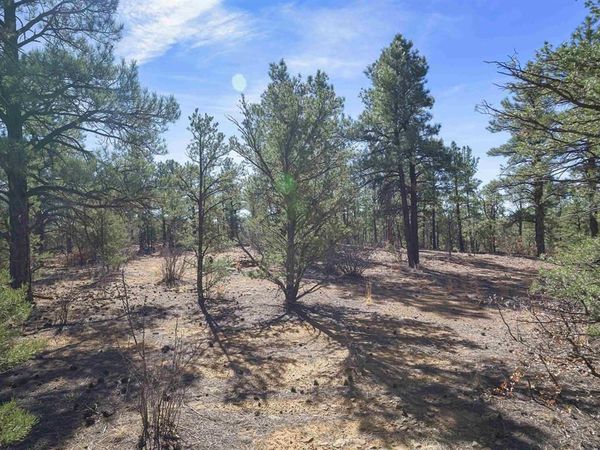TBD Rancho La Garita Lot 1129, Weston, CO 81082