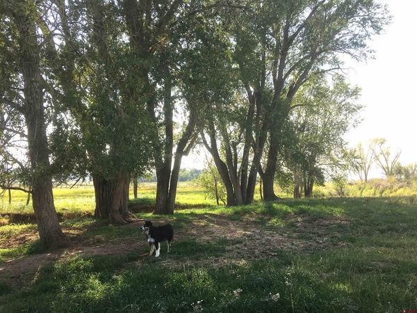 Unassigned County Road Y43, Norwood, CO 81423