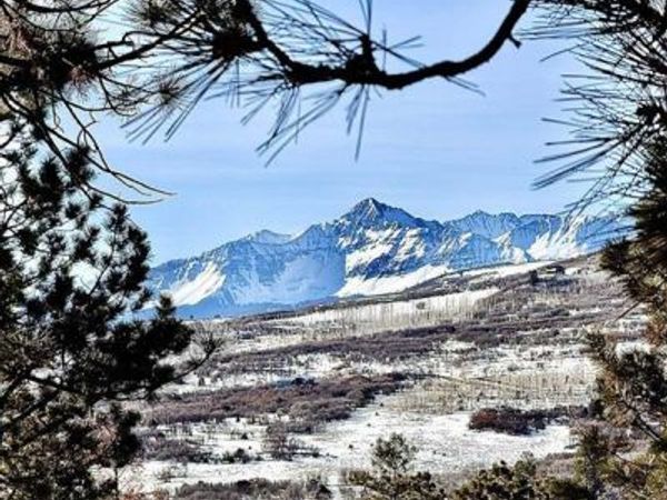 LOT 120 Green Meadow Lane, Placerville, CO 81430