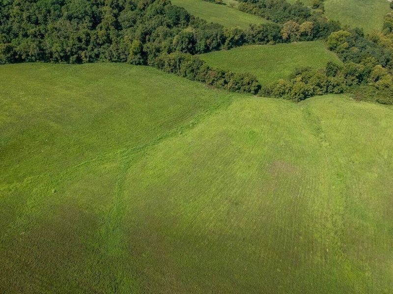 Dry Ridge, KY 41035 Photo 8