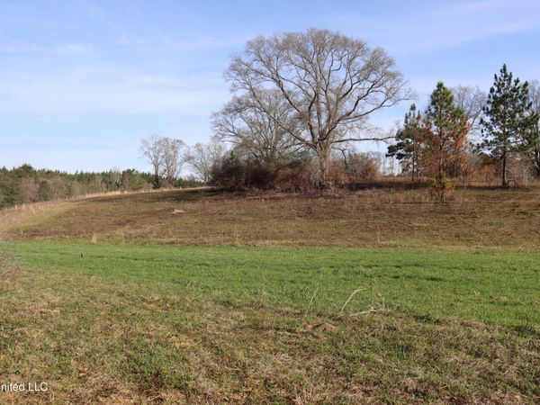 1270 Hilt Fornea Road, Poplarville, MS 39470