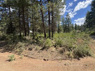 0 Grizzly Lane Bonanza, OR 97623