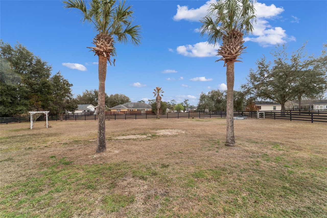 5970 NE 57th Loop, Silver Springs, FL 34488 Photo