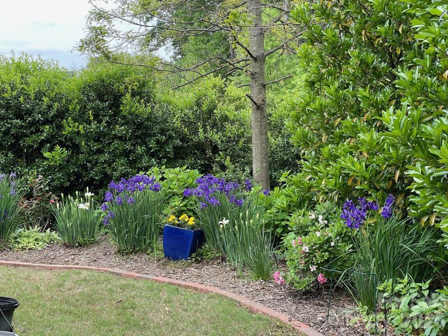 Property Image 48