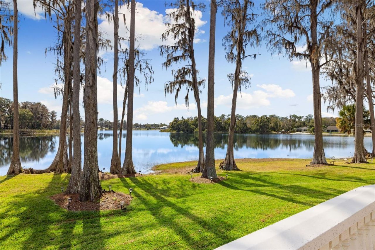 17124 Crawley Road, Odessa, FL 33556 Photo