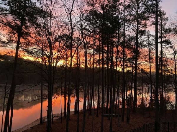 182 Savannah Drive, McCormick, SC 29835