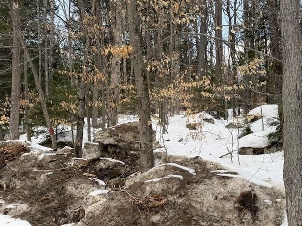 Map 6 Lot 103 Route 16, Albany, NH 03818