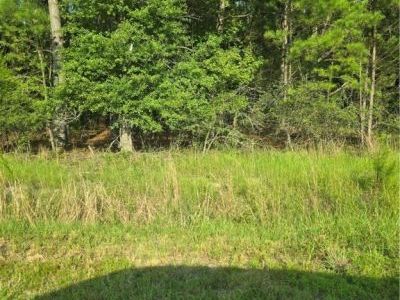 3131 Okatie Hwy, Bluffton, SC 29910