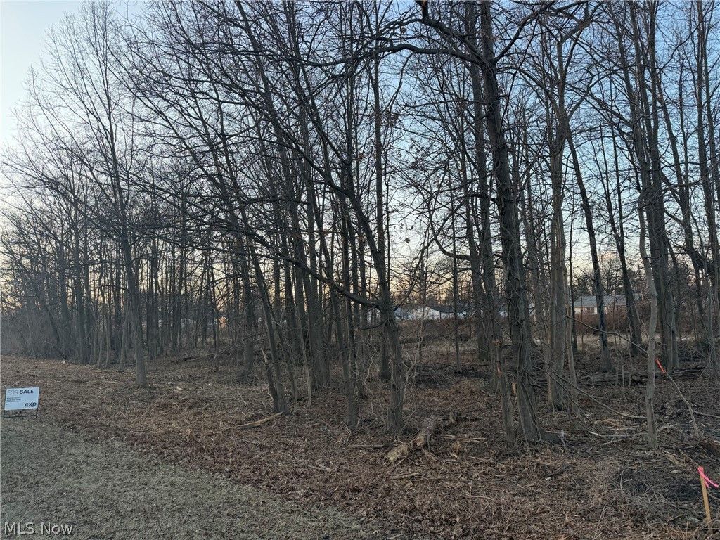 Liberty Avenue, Vermilion, OH 44089 Main Photo