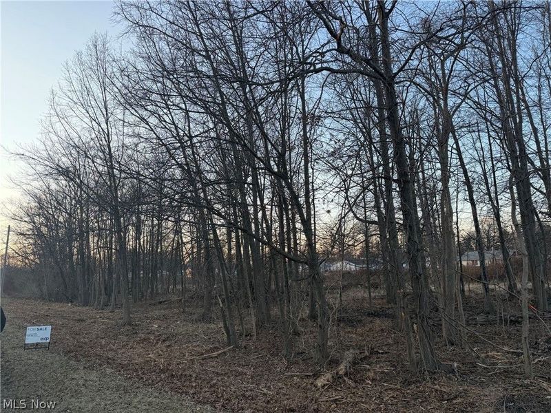 Liberty Avenue, Vermilion, OH 44089 Photo 2