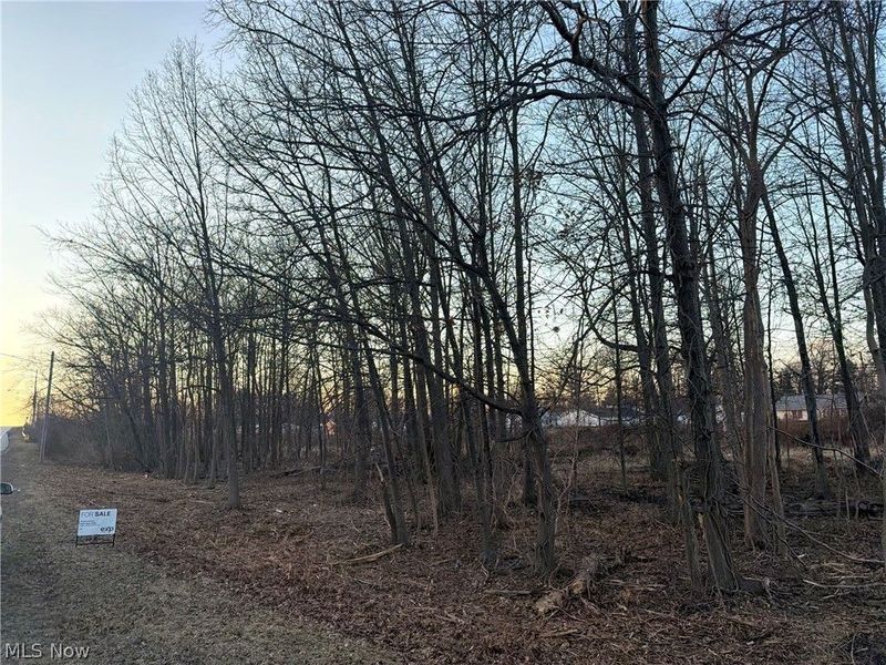 Liberty Avenue, Vermilion, OH 44089 Photo 3