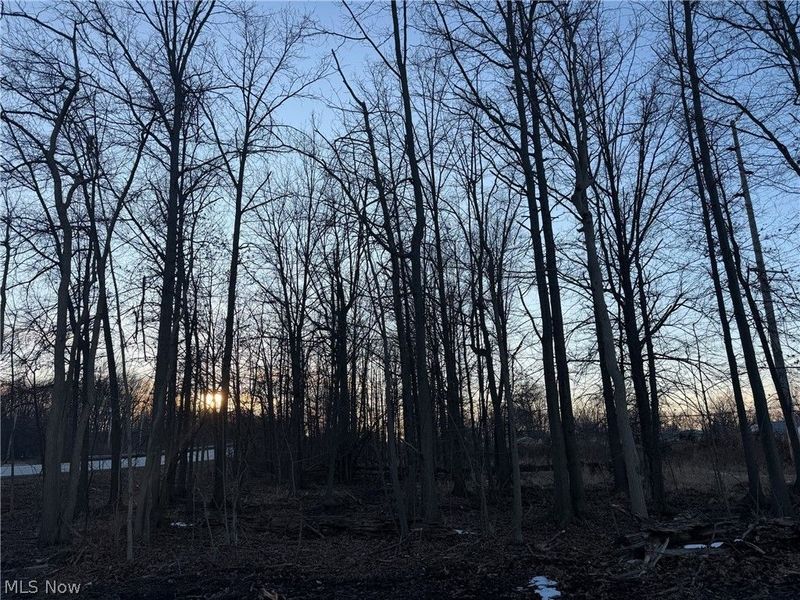 Liberty Avenue, Vermilion, OH 44089 Photo 4