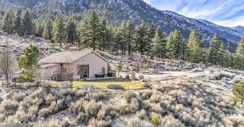 466 Horsethief Circle, Markleeville, CA 96120 Photo