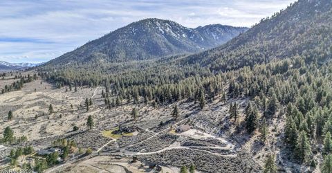 466 Horsethief Circle, Markleeville, CA 96120 Photo