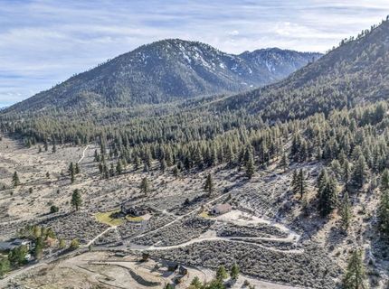 466 Horsethief Circle, Markleeville, CA 96120 Photo