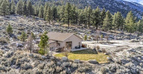 466 Horsethief Circle, Markleeville, CA 96120 Photo