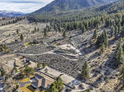 466 Horsethief Circle, Markleeville, CA 96120 Photo