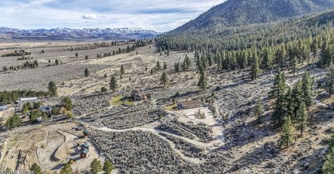 466 Horsethief Circle, Markleeville, CA 96120 Photo