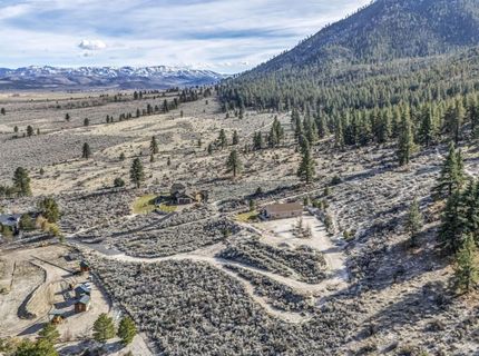 466 Horsethief Circle, Markleeville, CA 96120 Photo