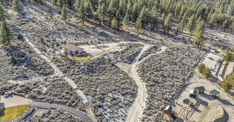 466 Horsethief Circle, Markleeville, CA 96120 Photo