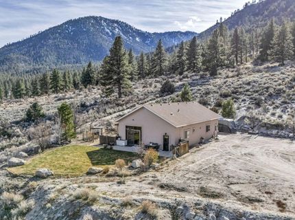 466 Horsethief Circle, Markleeville, CA 96120 Photo