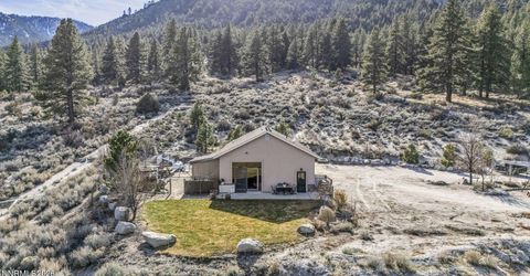 466 Horsethief Circle, Markleeville, CA 96120 Photo