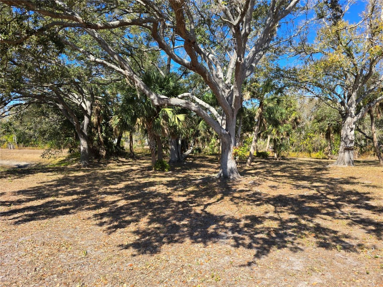 1213 Lexington Drive, Venice, FL 34292 Photo