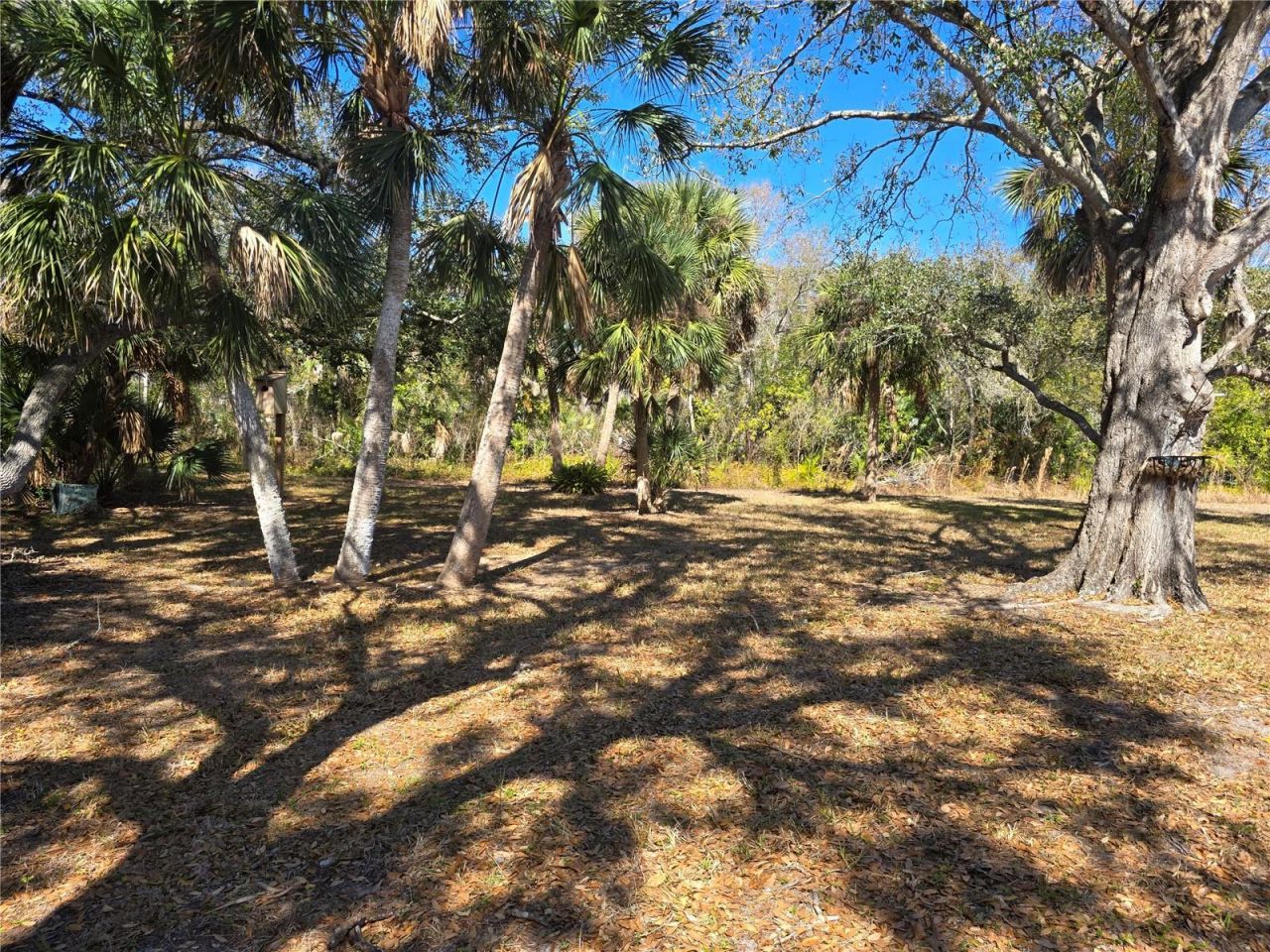 1213 Lexington Drive, Venice, FL 34292 Photo