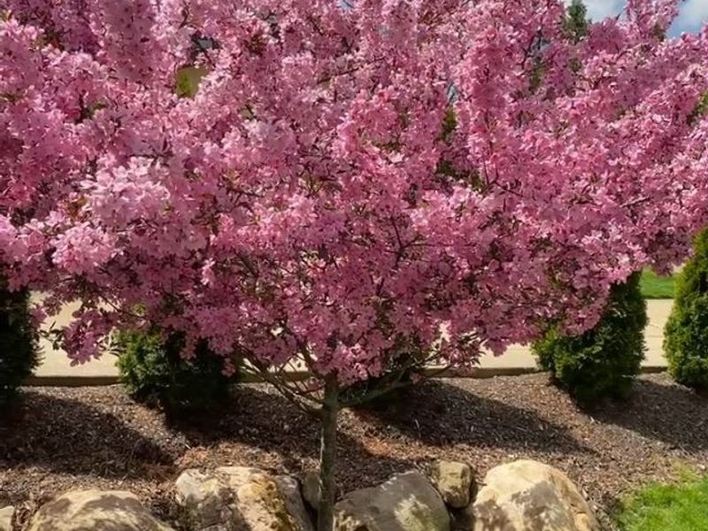 1880 Bradford Pointe Lane, Akron, OH 44313 Photo 37