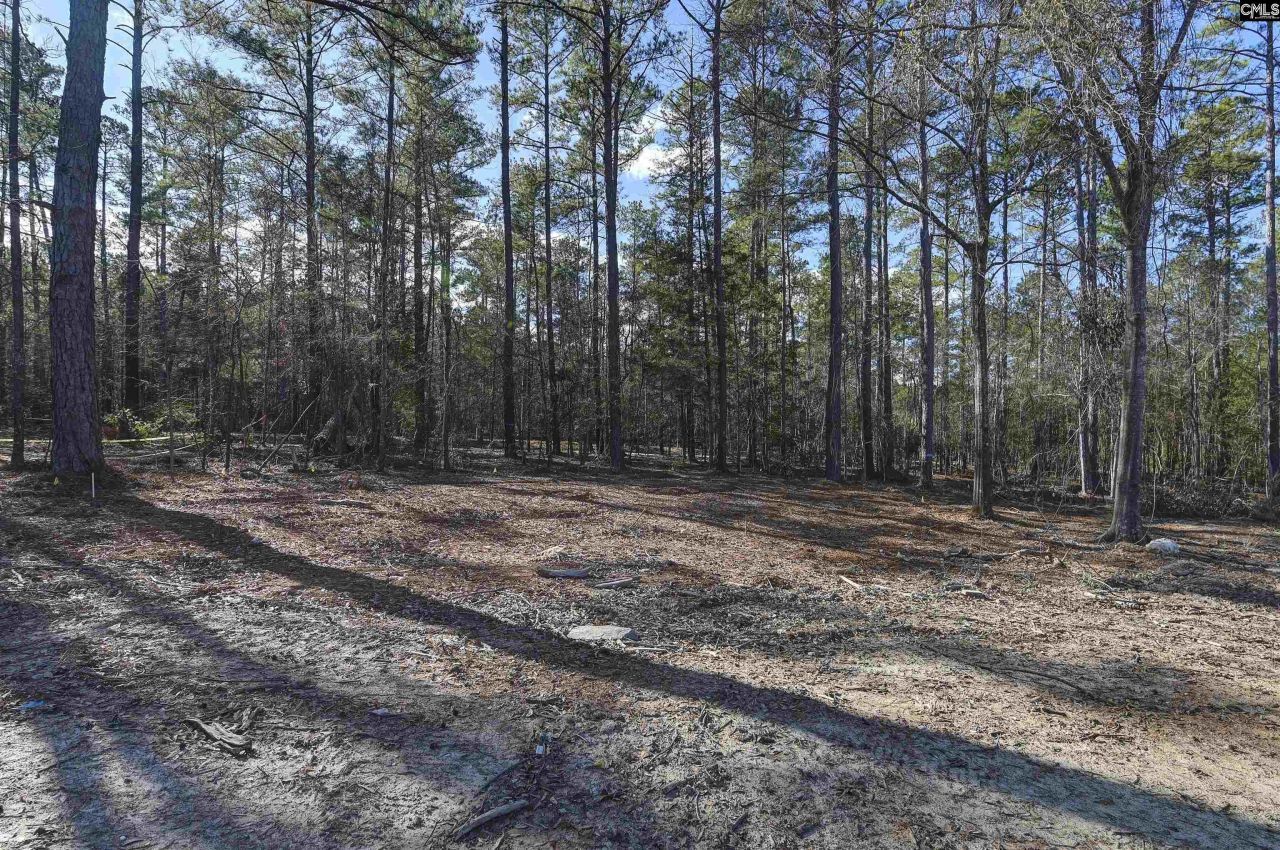 111 Greengarden Drive  Photo 53