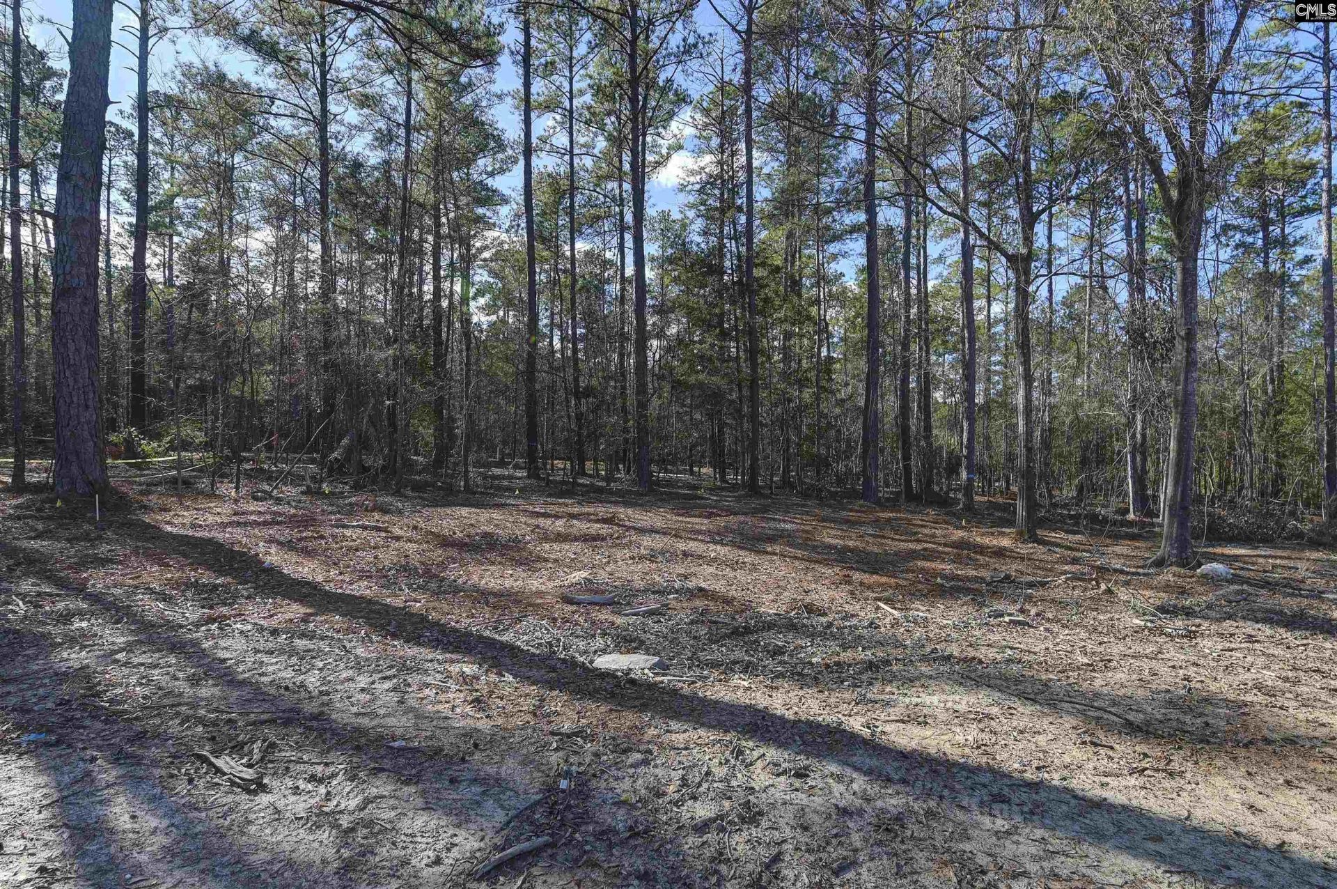 111 Greengarden Drive Photo 61