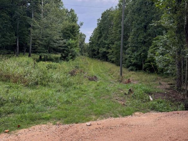 0 Tatum Gulf Road, Menlo, GA 30731