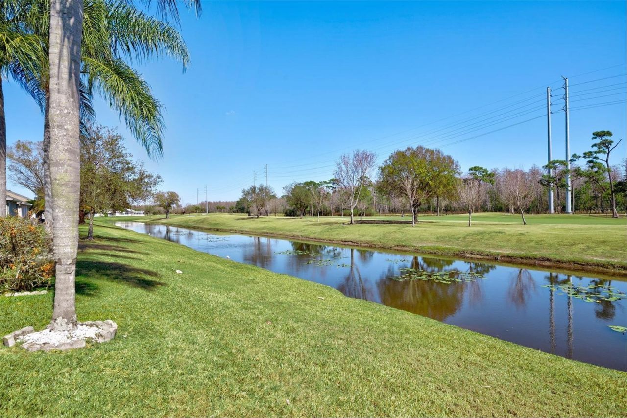 3463 Clear Stream Drive , Orlando, FL 32822 Photo